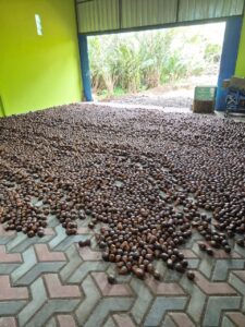 2864c182 c3b0 45a5 a347 a2e14b817915