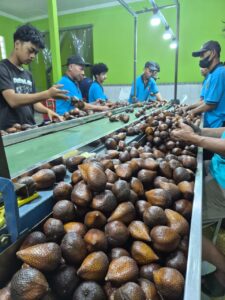 50ee9384 5066 41cf 9d64 495070d51220(1)