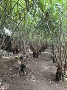 596a3d9e c30c 41d3 acf6 c62db7e0a863