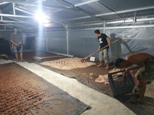 9e98e9b6 60bd 4ff6 a088 6e9d27a2b4d6