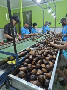 de9806e4 b675 4ef0 9954 262a06daa8eb(1)