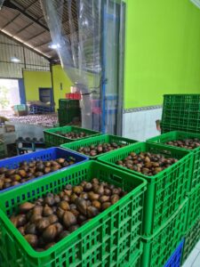 e41c9f63 a17d 40b2 b92b d22c5adfc8ae